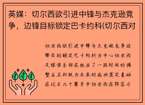 英媒：切尔西欲引进中锋与杰克逊竞争，边锋目标锁定巴卡约科(切尔西对标)